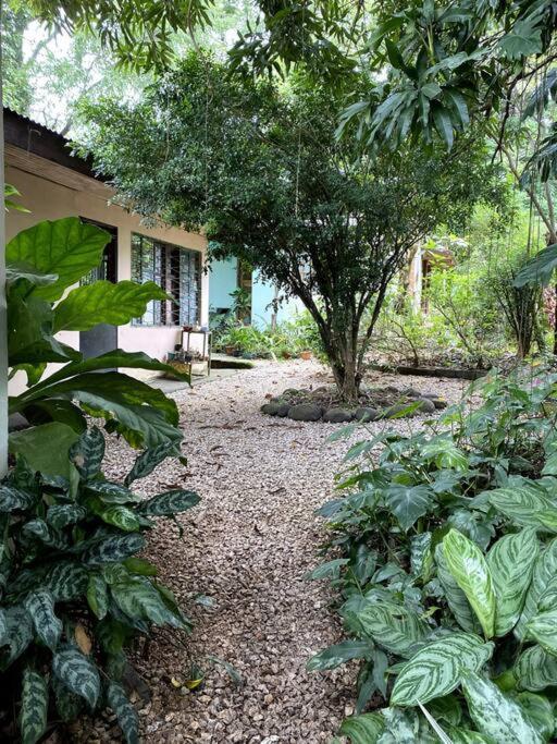 Casa Briza Vendégház Nicoya Kültér fotó